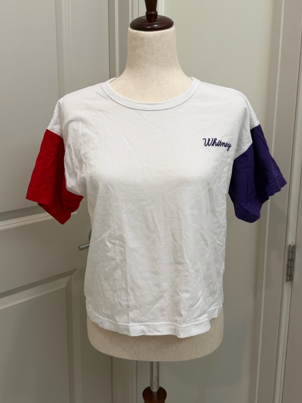 Hillflint X Whitney Biennial - Chainstich Colorblock Crewneck Tee - M